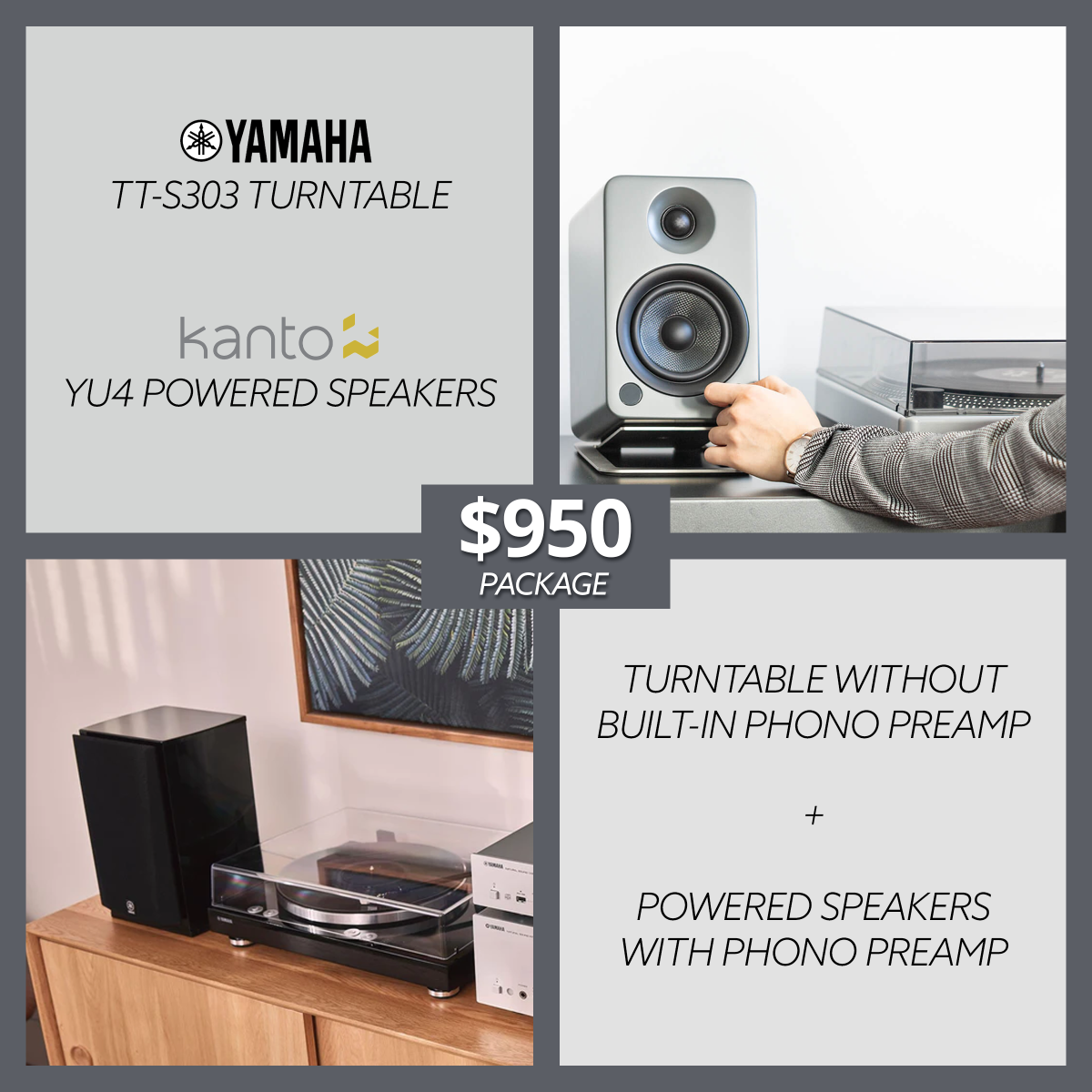 HiFi Turntable Setup for under 1,000! Gramophone